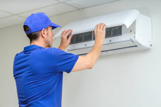 Best Air Duct Sanitizing Services  in Bohemia, NY